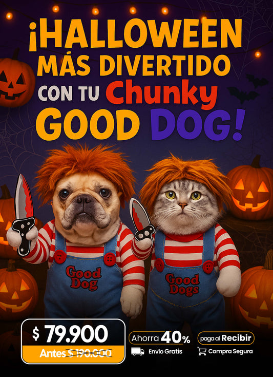 Disfraz para tu mascota