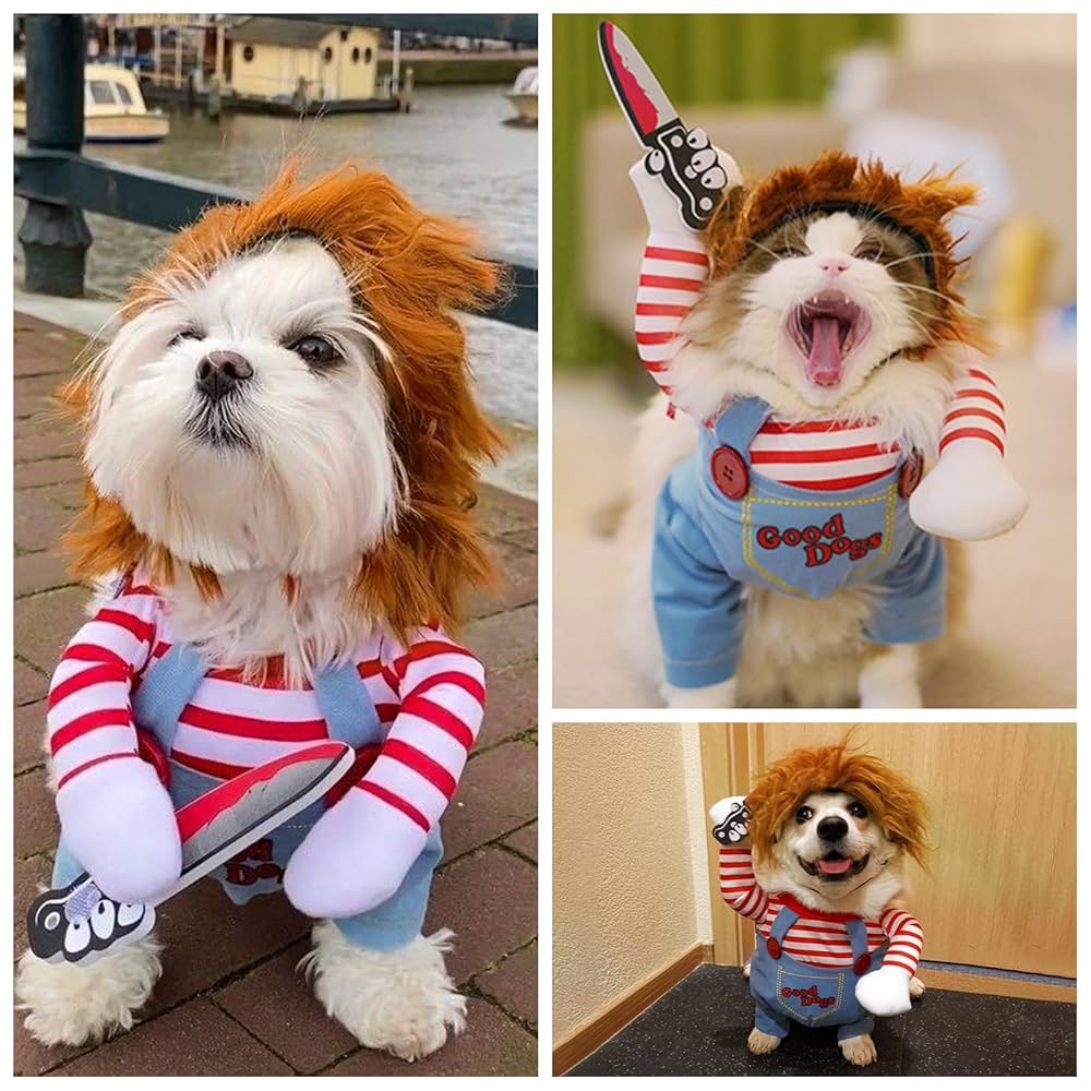 Disfraz para tu mascota